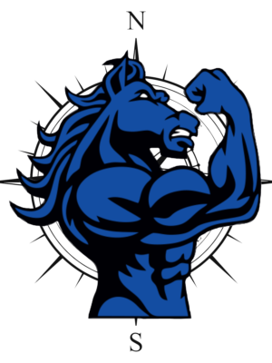 Cały pakiet PLATINUM - Program + Indywidualna Wspłópraca