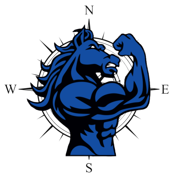 Cały pakiet PLATINUM - Program + Indywidualna Wspłópraca